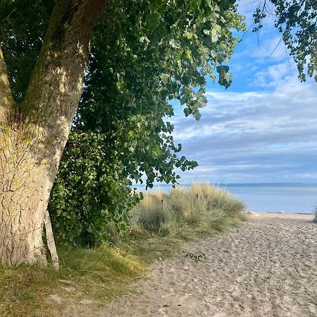 Feriendorf Suedstrand Haus 09 ペルツァーハケン エクステリア 写真