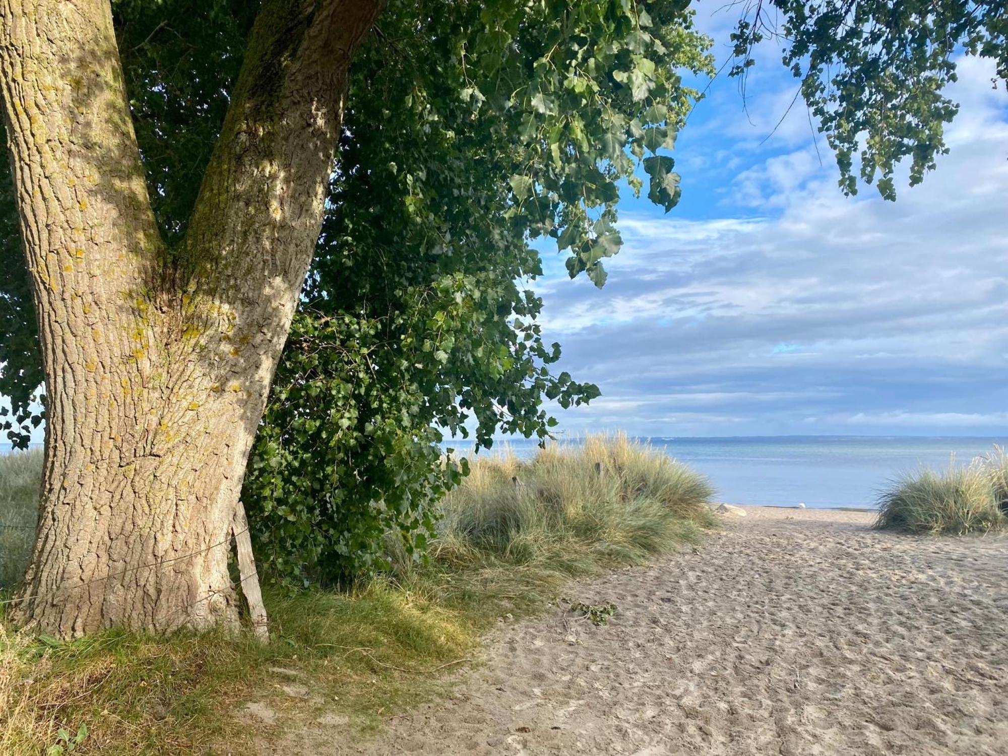 Feriendorf Suedstrand Haus 09 ペルツァーハケン エクステリア 写真
